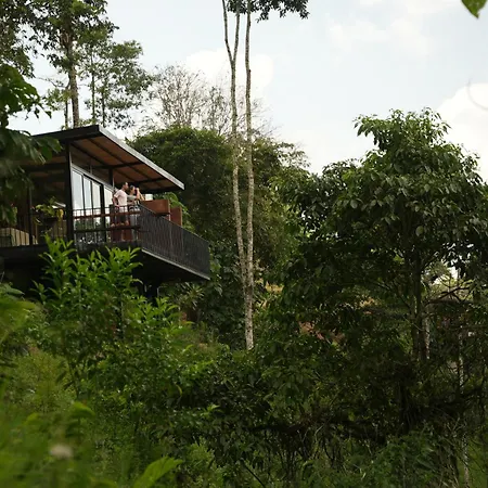 Reverie Hotel-3
